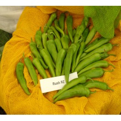 Seminte Ardei Iute Rush F1